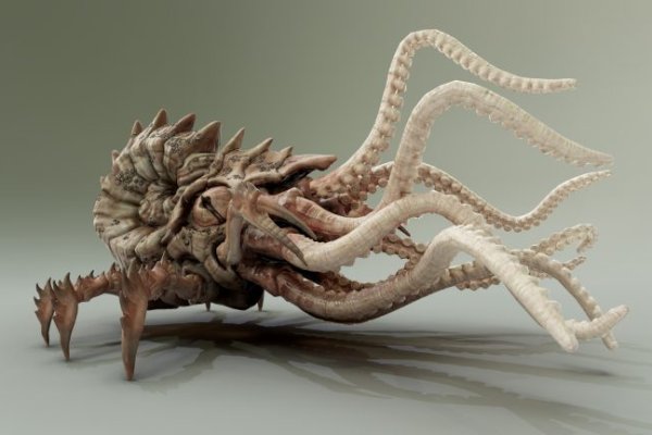 Kraken ем